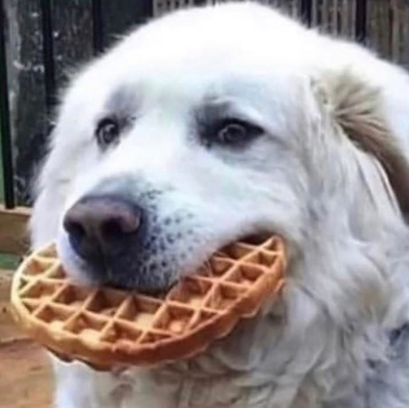 Hello and Welcome! - Picture 2 of 2